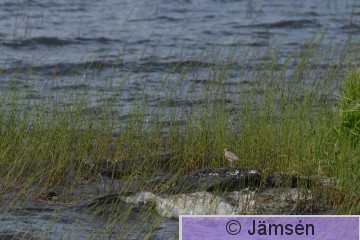 DSC_8582014274.jpg