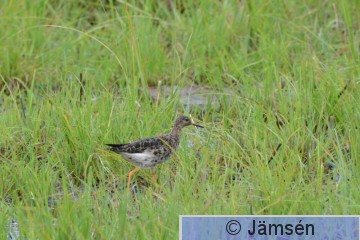 DSC_5918.jpg