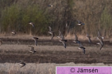 DSC_45685423.jpg