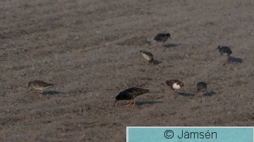 DSC_47575463.jpg