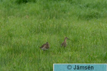 DSC_62061270.jpg