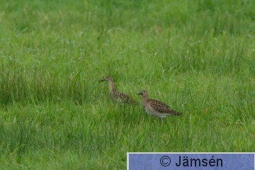 DSC_62271280.jpg