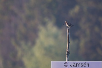 DSC_5851008104.jpg