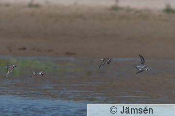 DSC_3149019843.jpg
