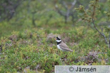 DSC_8550017859.jpg