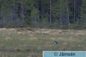 DSC_2718007666.jpg
