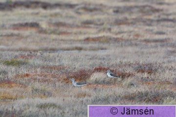 20150508-DSC_6107.jpg