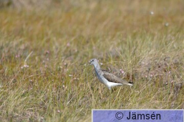 20150604-DSC_9185.jpg