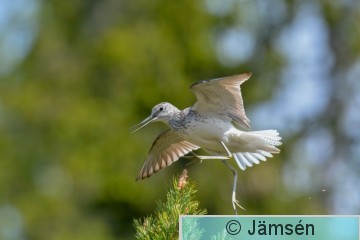 20150604-DSC_9250.jpg