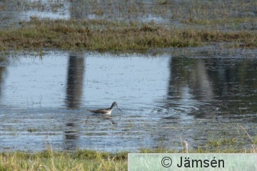 DSC_55658343.jpg
