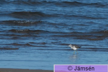 DSC_1080018746.jpg