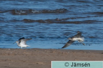 DSC_1098018760.jpg