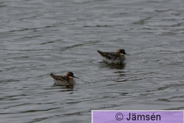 DSC_23720624.jpg