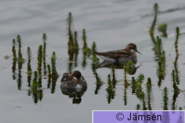 DSC_24040635.jpg