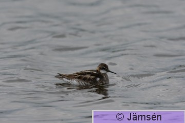 DSC_24130639.jpg
