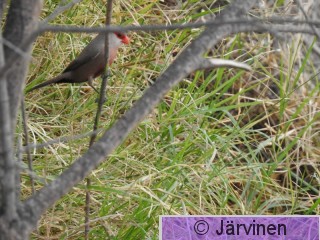 DSCN4382.JPG