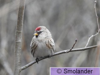 DSCN1606.JPG