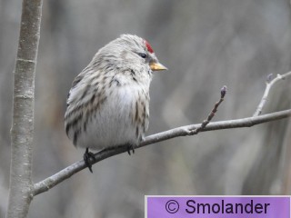 DSCN1605.JPG