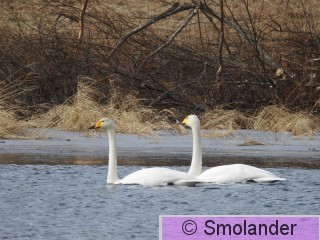 DSCN1584.JPG