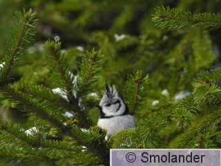 DSCN1385.JPG