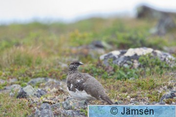 DSC_43821008.jpg