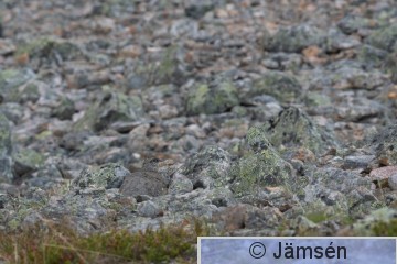 DSC_9031018002.jpg