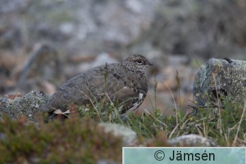 DSC_9181018094.jpg