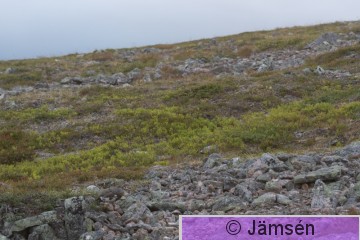 DSC_9233018146.jpg