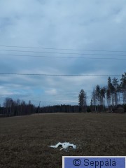 linja.jpg
