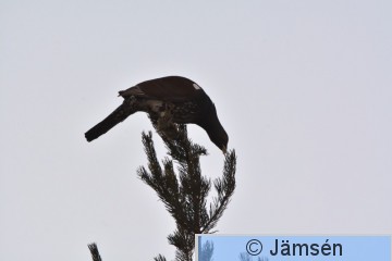 DSC_3750.jpg
