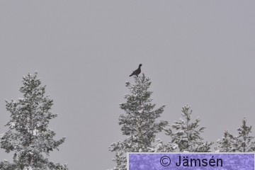 DSC_5848.jpg