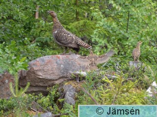 DSCF8447.jpg