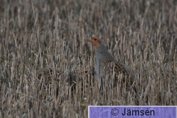 DSC_713004307.jpg