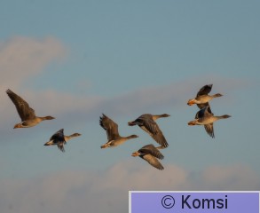 DSC_3262.jpg