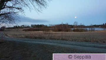 Kevät.JPG