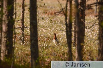 DSC_2391.jpg