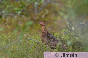 DSC_9402018191.jpg