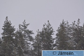 DSC_5862.jpg