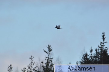 DSC_9147.jpg