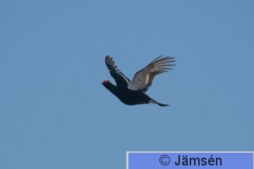 DSC_503802123.jpg