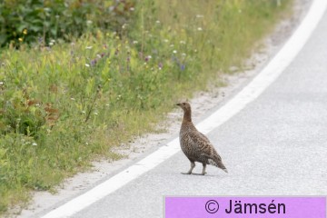DSC_5569013015.jpg