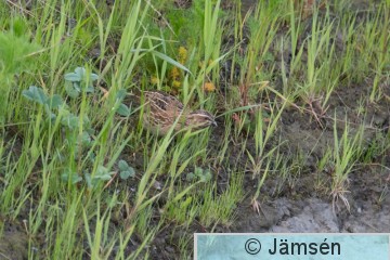 DSC_3691010689.jpg