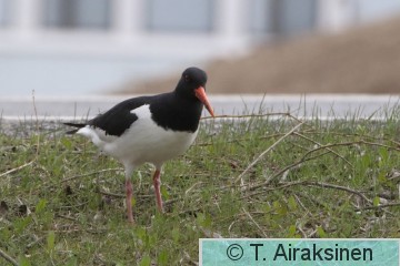 DK5A9556.JPG