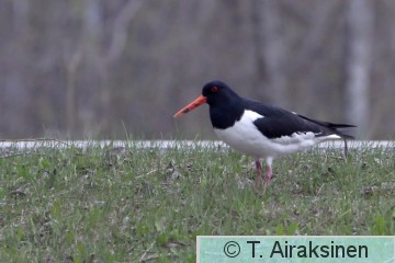 DK5A9540.JPG