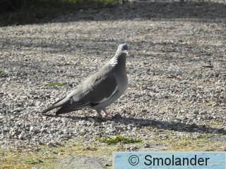 DSCN3109.JPG