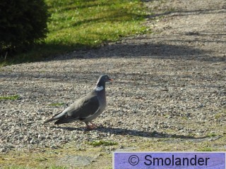 DSCN3108.JPG