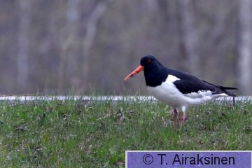 DK5A9551.JPG