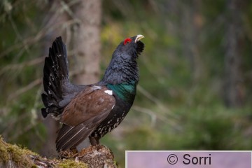 D8E_2065.jpg