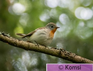DSC_5583-2.jpg