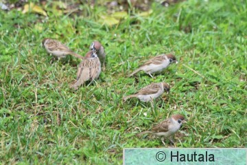 IMG_1686.JPG